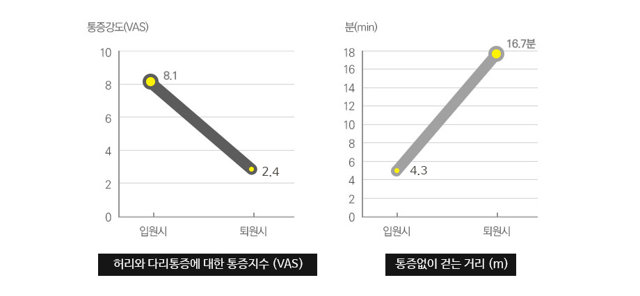 허리와 하지방사통에 대한 통증지수 (VAS) / 통증없이 걷는 거리 (m)