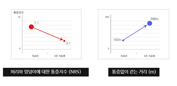 제10회 국제보완의학학술대회(ICCMR: The 10th International Congress on Complementary Medicine) 이미지